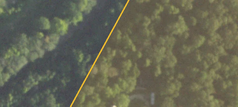 Wooded Land Near Highway 59