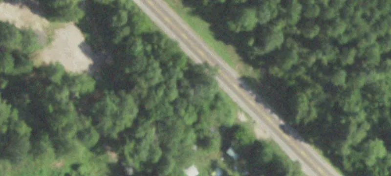 Cleared Land Near Lake Livingston