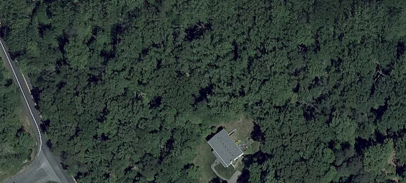 Two Acre Treed Lot