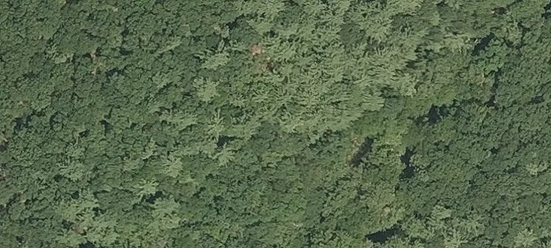 Residential Land in South Glastonbury