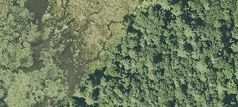 Undeveloped Land with Subdivision Potential