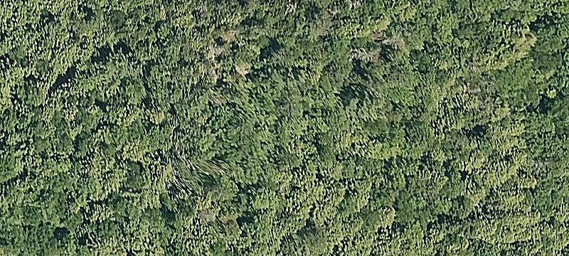 Hawk Resort Building Lot