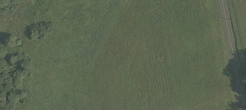 Wooded and Open Field Land