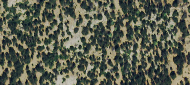 Colorado Land with Mountain Views