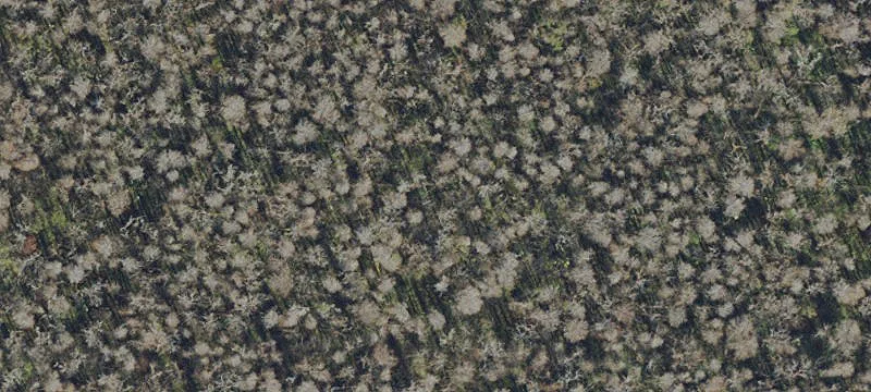 Commercial Lot in Thonotosassa, FL