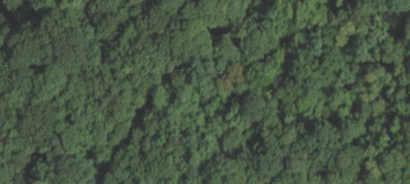 Wooded Land Parcel in Westchester