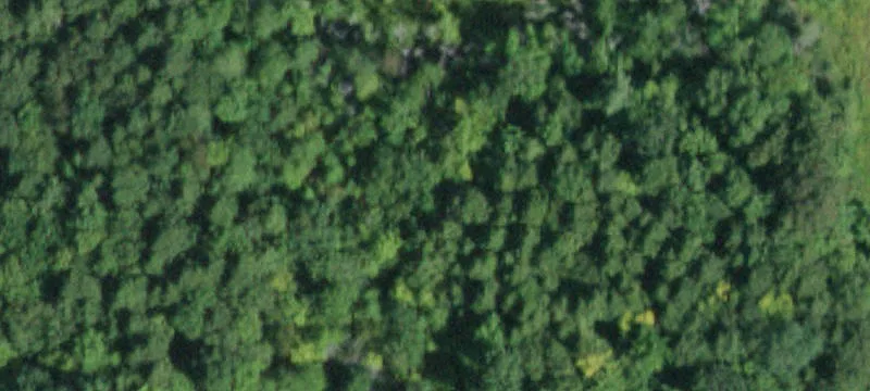 Commercial Land For Sale