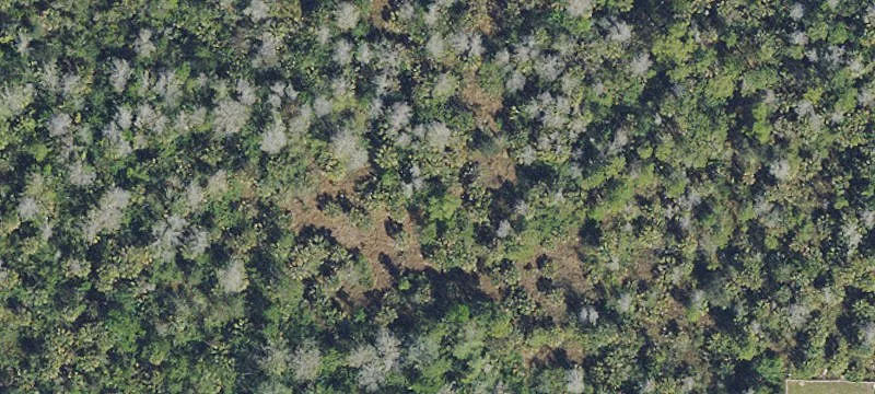 Residential Land in Naples, Florida
