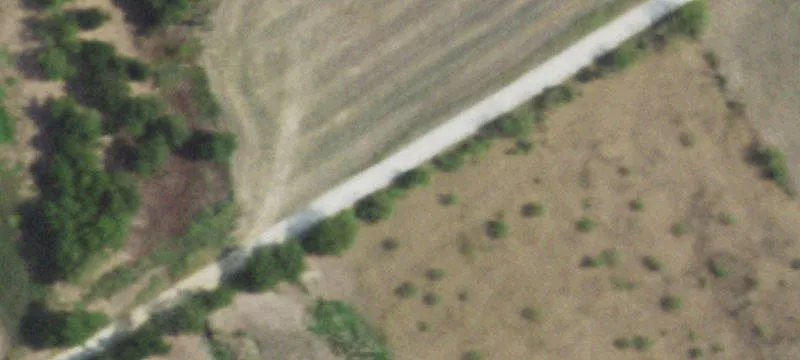 5 Acres of Rural Land