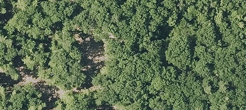 5.80 Acre Parcel Near Lake