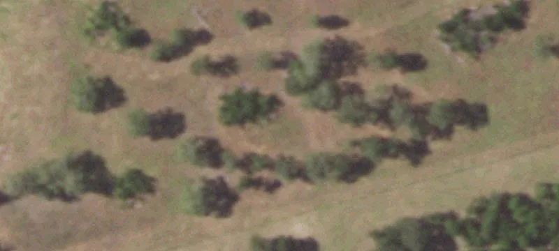 Fedor, Texas Acreage with Barn