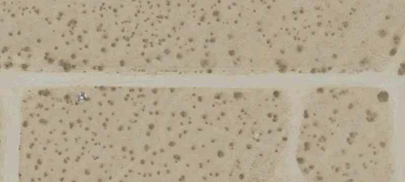Apple Valley 40-Acre Parcel