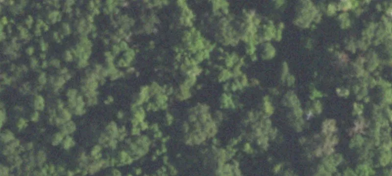 Wooded Acres with Utilities