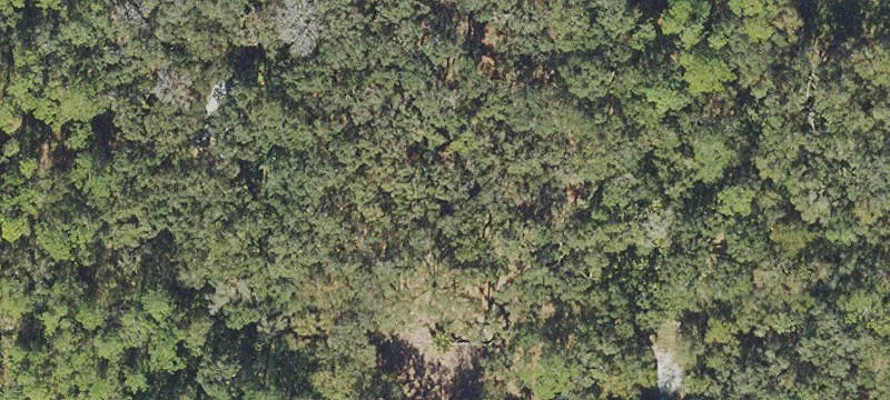 Lake Wales Gated Community Land