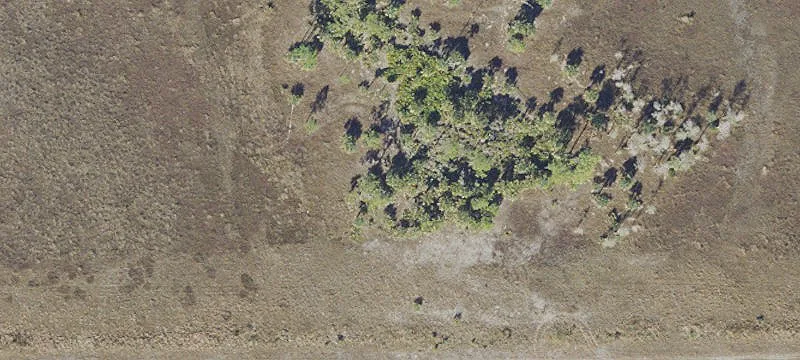 Land Available in Naples, Florida