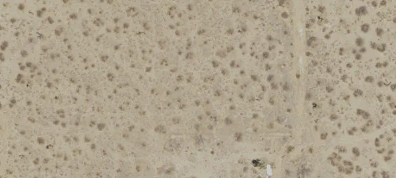 Commercial Land on US Highway