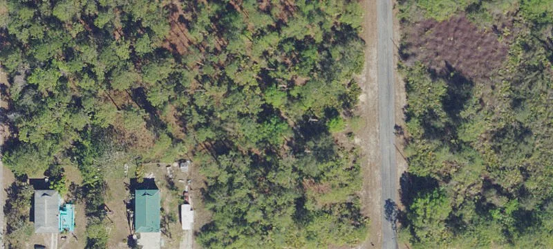 Lehigh Acres Wooded Half Acre
