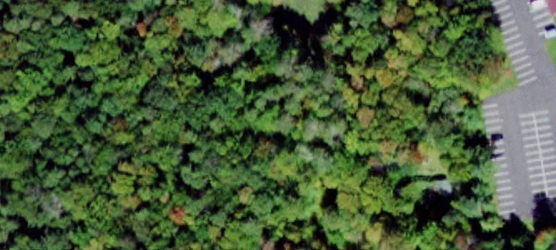 Three Lots Sold as One