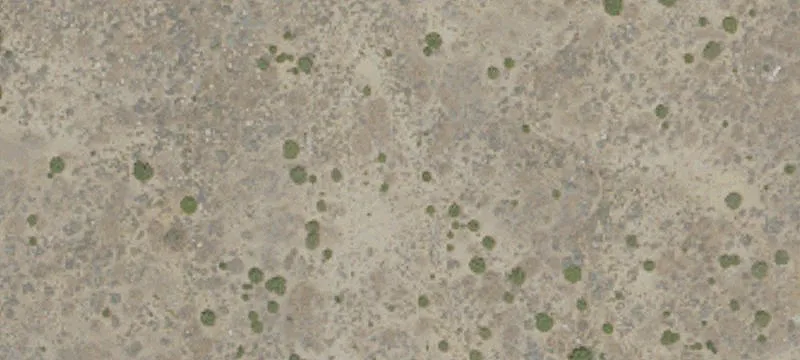 5-Acre Raw Land Parcel