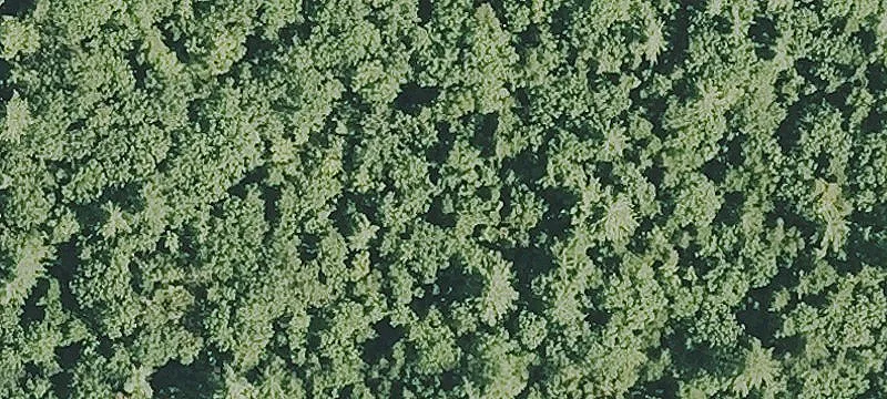 28 Acres Near Route 89