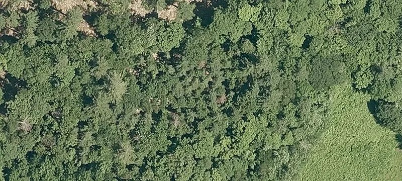53.8 Acres Near Townshend Dam