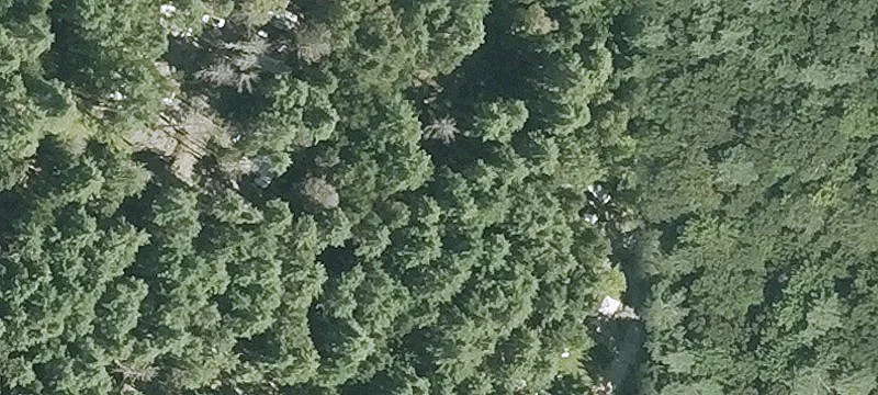 85.92 Acre Land Parcel