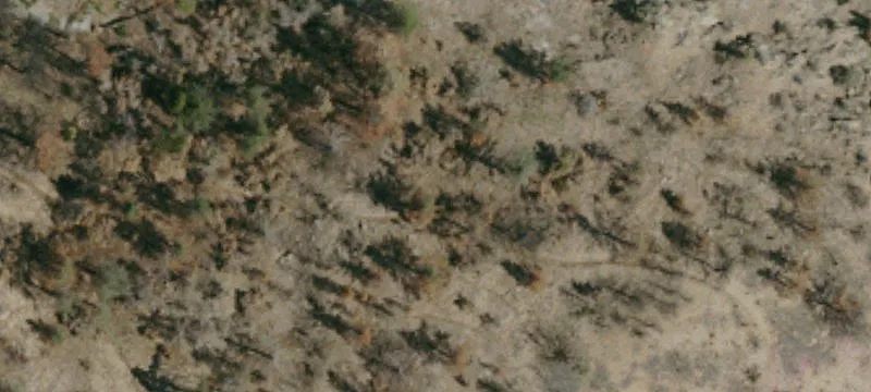 Juniper Hills Land Opportunity