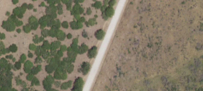 Turnkey Horse Property with Income