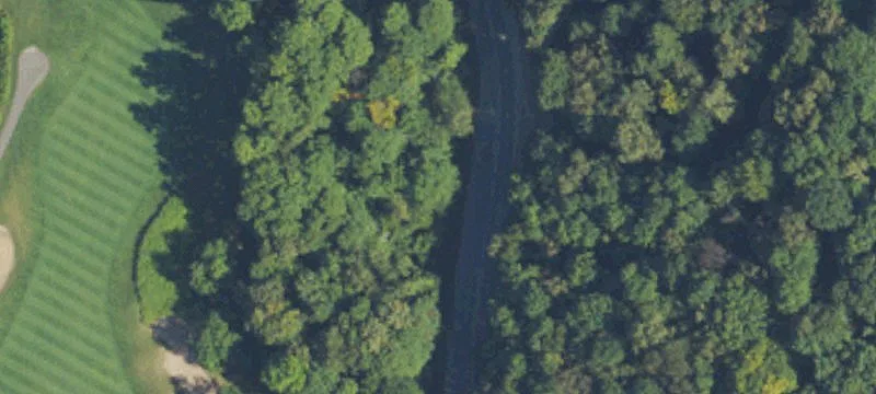 Heavily Wooded Land Near Lake