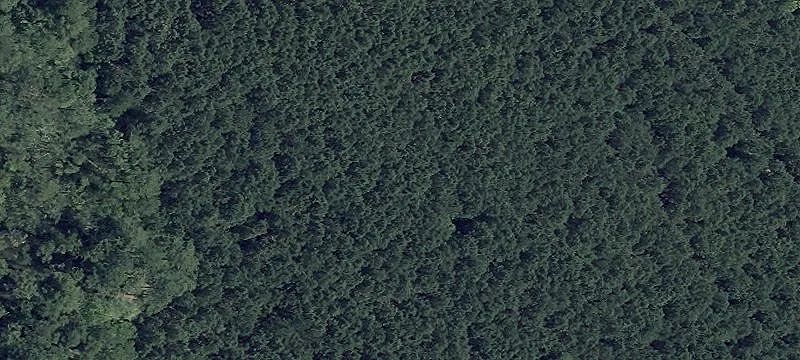 Private 24-Acre Parcel