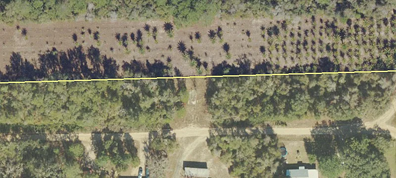 Ocala National Forest Campsites Property
