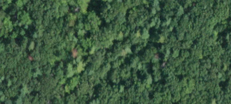 Residential Land in Palenville
