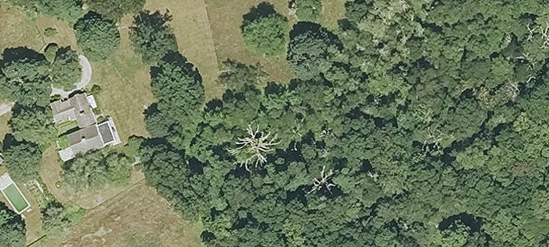Specialty Property For Sale
