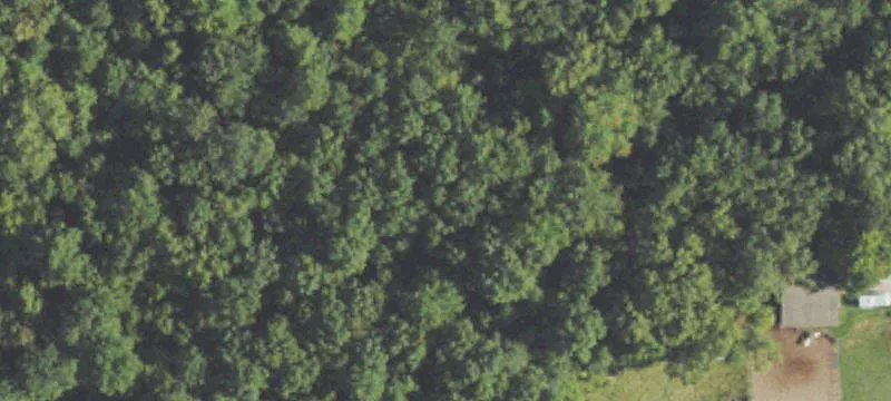 Wooded Acreage Near Frankenmuth