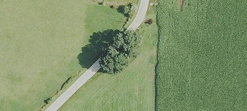 52 Acres Residential/Agricultural Land