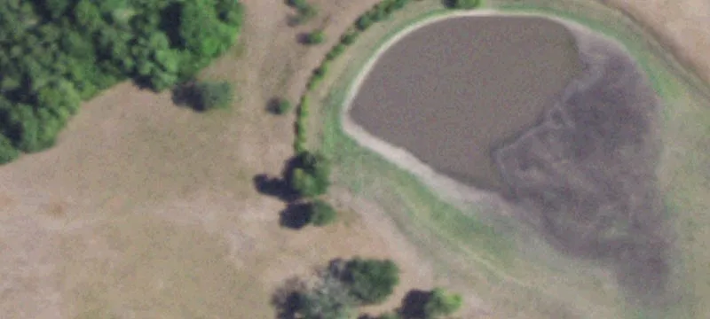 Wooded Lot in Tree Tops