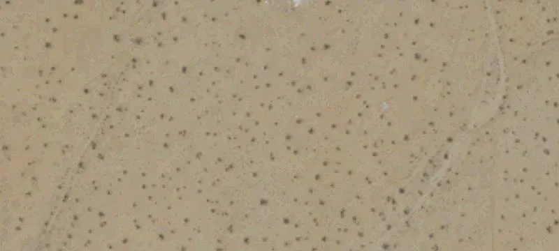 Lucerne Valley Land Parcel