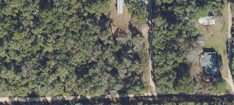 Ocala National Forest Campsites Property