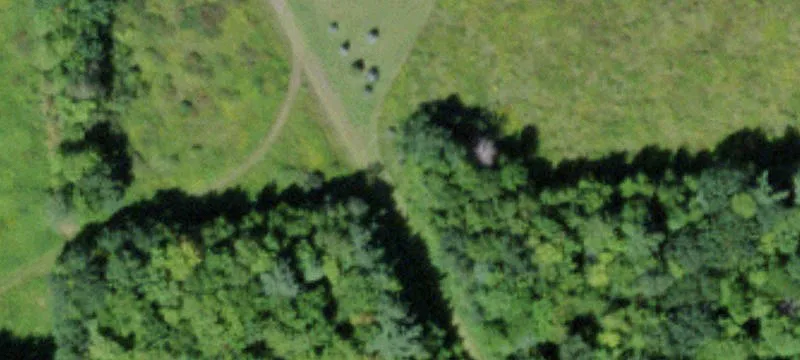 11.28 Acres with Stocked Pond