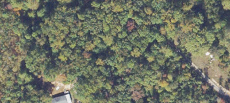5.42 Acre Wooded Lot