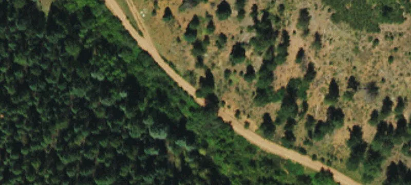 685 Acres Near Woodland Park