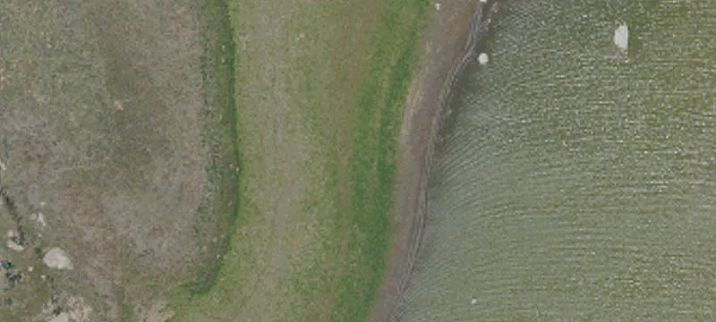 9.86 Acres with Campo Frontage