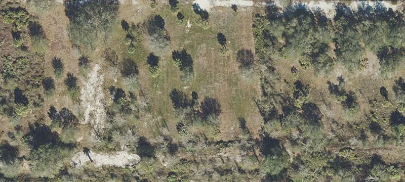 Okeechobee County 1.25 Acre Parcel