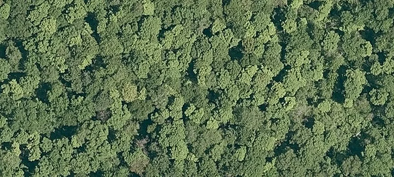 8-Acre Parcel in Jamaica, VT