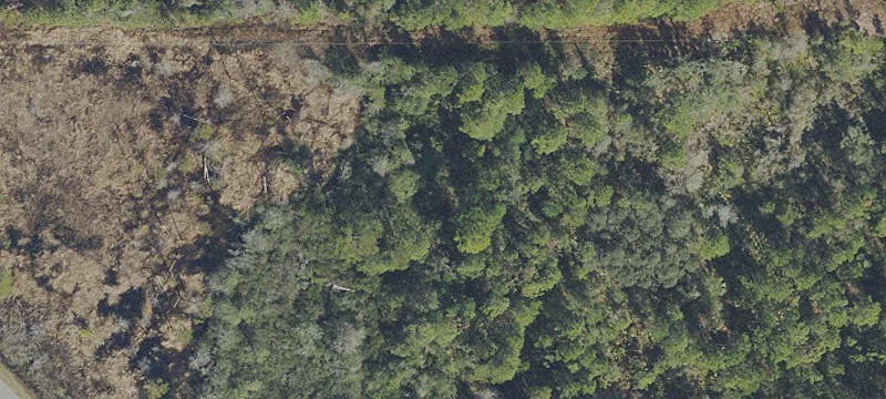 Georgetown Land for Sale