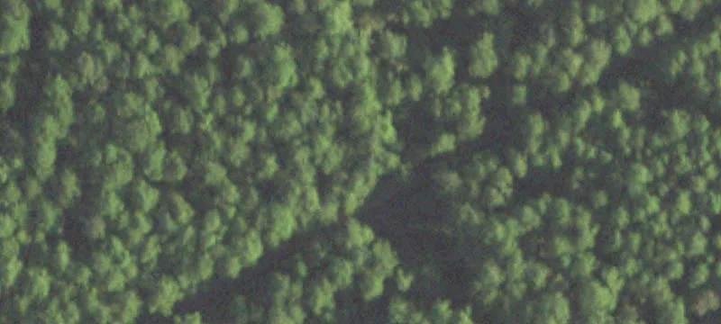 Three Lots in Shepherd, TX