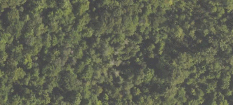 10 Acres of Land Available