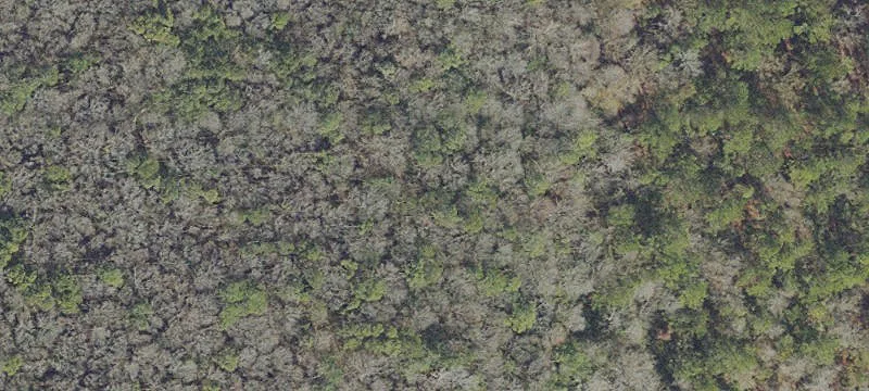 7 Acres Keystone Heights Land