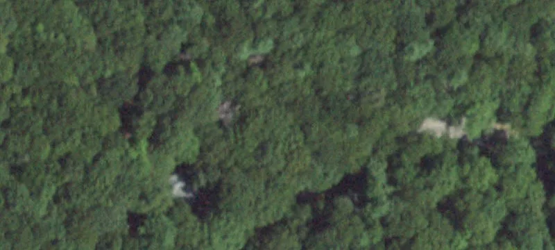 Wooded Lot Near North Fork