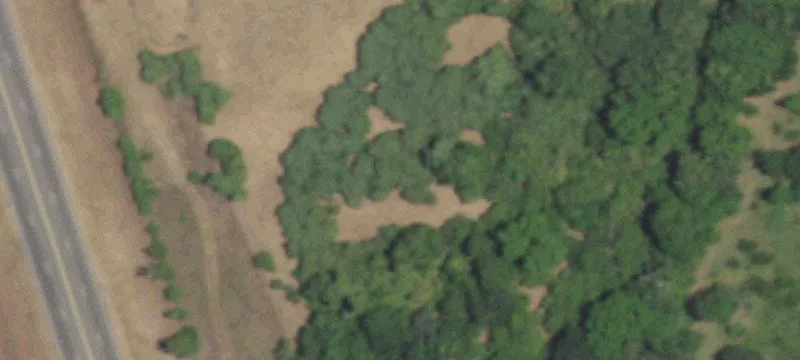 18.98 Acres Multi-Use Land